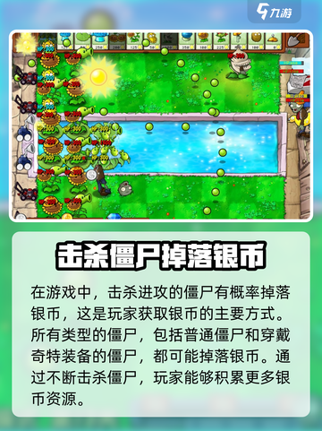 植物大战僵尸杂交版🔥银币获取方法大全！💡截图2