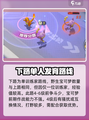 宝可梦大集结地图详细说明介绍截图4