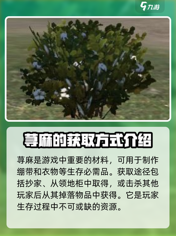 王牌战争里的荨麻怎么找介绍截图5