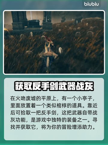 艾尔登法环📖黄金树之影战灰全收集攻略⚡截图3
