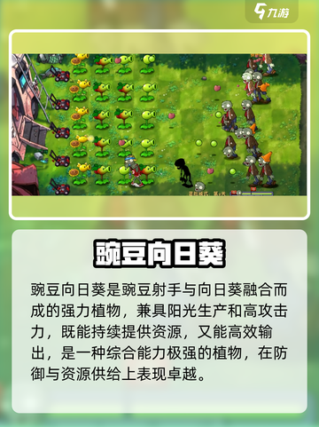 植物大战僵尸🔥最强3大神植！💥截图3