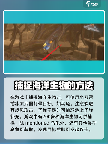 潜水员戴夫燃烧的乌龟怎么捉介绍截图4