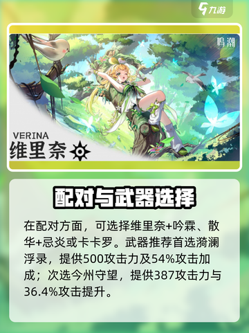 鸣潮维里奈实测！最强奶妈有多离谱？🌟截图3