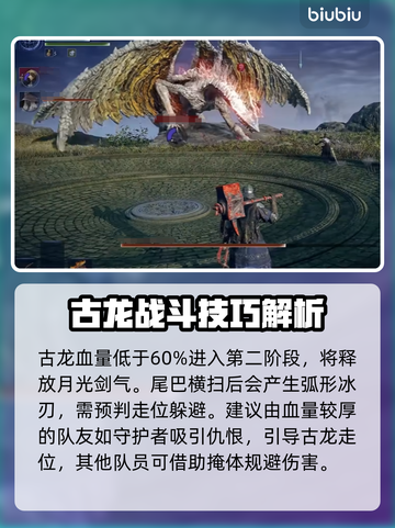 艾尔登法环：黑夜君临古龙打法攻略🔥🐉截图3