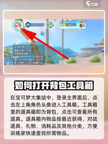 宝可梦大集结背包在哪介绍截图3