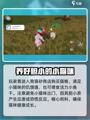 心动小镇🔥养猫攻略来啦！猫咪养成秘籍🐱截图3
