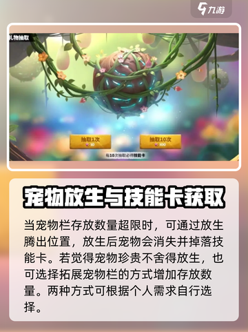 万龙觉醒如何放生宠物介绍截图4