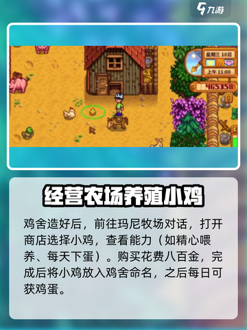 星露谷物语怎么养鸡介绍截图4