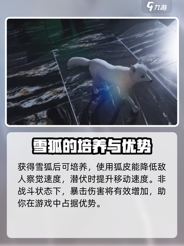 七日世界雪狐怎么获得介绍截图4