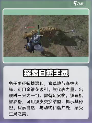 七日世界动物分布地在哪里介绍截图5
