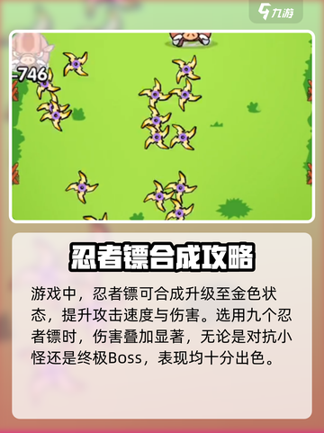 花园特工队🔥忍者镖超强攻略分享！💥截图4