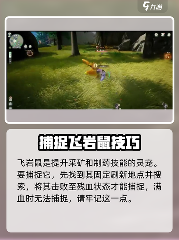 仙剑世界飞岩鼠怎么捕捉介绍截图3