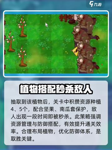 植物大战僵尸抽卡版炼狱卡图鉴介绍截图4