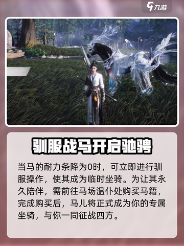 燕云十六声坐骑抓捕方法介绍截图7