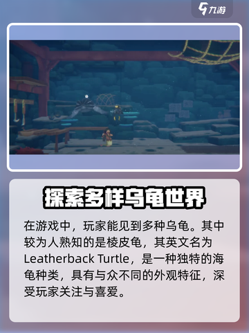 潜水员戴夫乌龟名字是什么介绍截图2