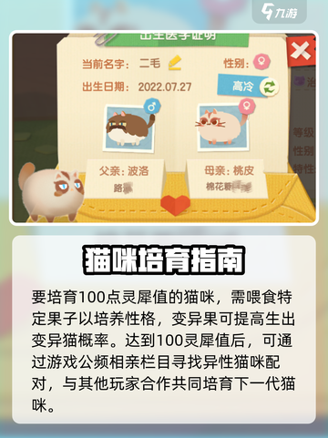 猫咪公寓2生猫咪怎么玩介绍截图2
