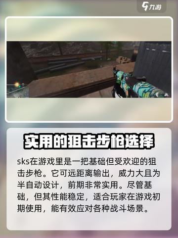 和平精英🔥萤火突击工厂SKS，玩家直呼：太强了！截图2