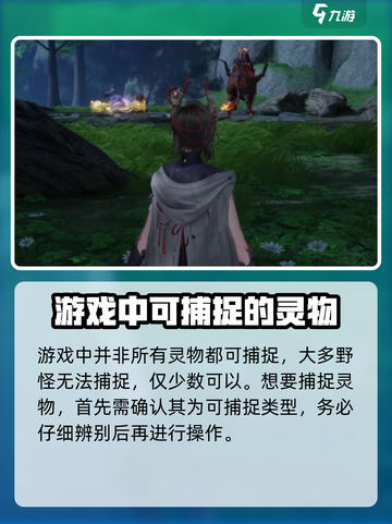 仙剑世界灵物是什么介绍截图2