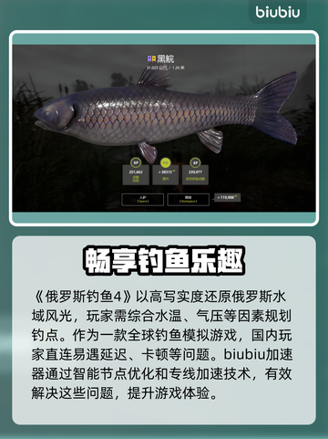 俄罗斯钓鱼4加速器推荐🌟游戏流畅不卡顿！🎉截图2
