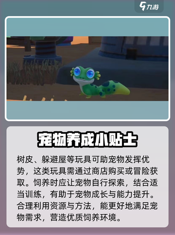 沙石镇时光💥肥尾守宫最爱的物品大曝光！截图3