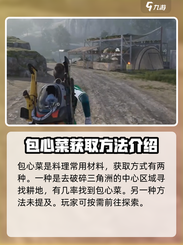 七日世界包心菜如何获取介绍截图2