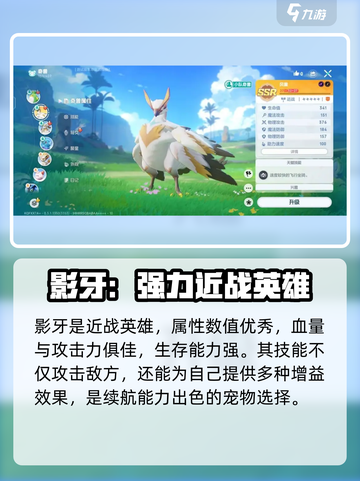 酷比大陆🔥宠物培养推荐来啦！✨截图5