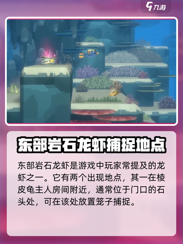 潜水员戴夫龙虾在哪抓介绍截图4