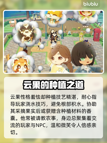 星布谷地云果实测💥真香警告！截图4