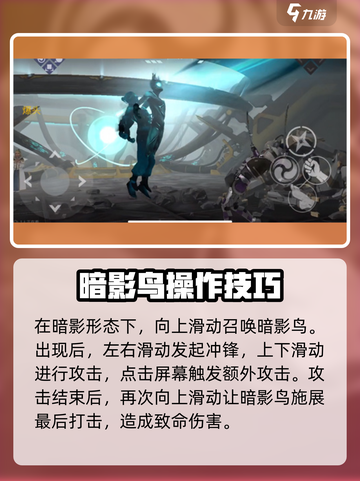 暗影格斗3🔥暗影鸟终极揭秘！⚡截图3