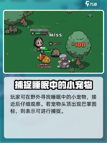 英勇之地🔥抓宠物超全指南手游玩家必看！截图2
