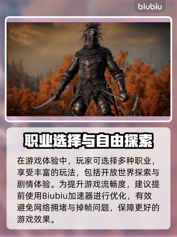 🔥艾尔登法环闪退掉帧？速看解决方法！🎮💥截图2
