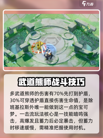 宝可梦大集结武道雄师怎么玩介绍截图3