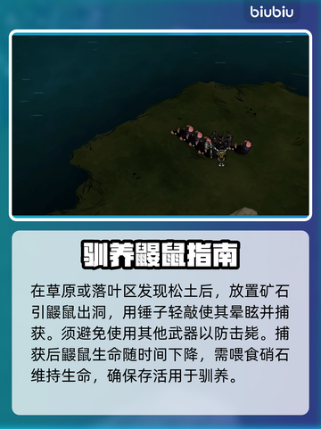 【饥荒】鼹鼠工厂暴富秘籍💸截图2