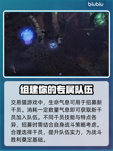 命运方舟：生命气息用途大揭秘🔥🎉截图2
