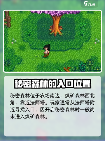 星露谷物语✨秘密森林隐藏地点大曝光！截图2