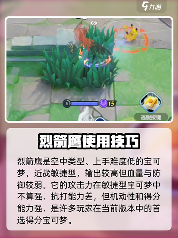 宝可梦大集结🔥烈箭鹰技能配招攻略🌟截图2