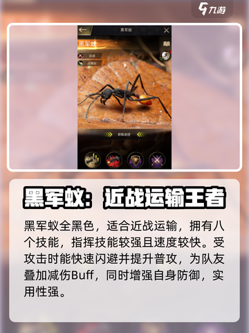 小小蚁国更新特化蚁实力详解介绍截图3