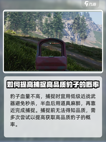 七日世界豹子捕捉教程介绍截图3