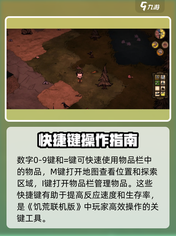 饥荒联机版按钮9是哪个键介绍截图4