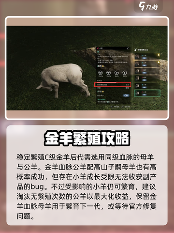 七日世界🔥金羊毛获取途径大揭秘！💎截图5