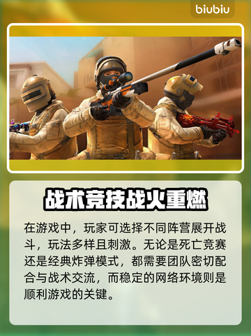 🎮《对峙2》延迟炸了？速用这个工具秒变丝滑！截图2