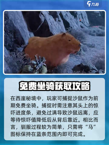 破碎之地🔥萌新必看！开局直奔满级💎截图5