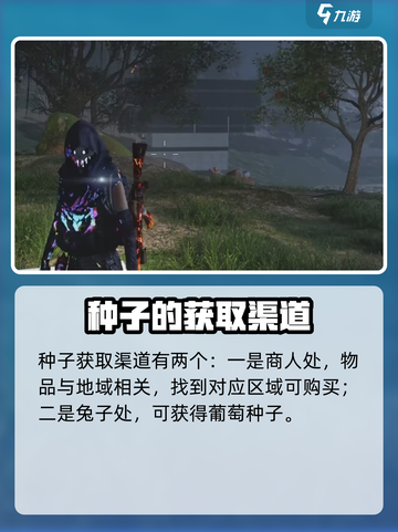 七日世界葡萄如何获取介绍截图5