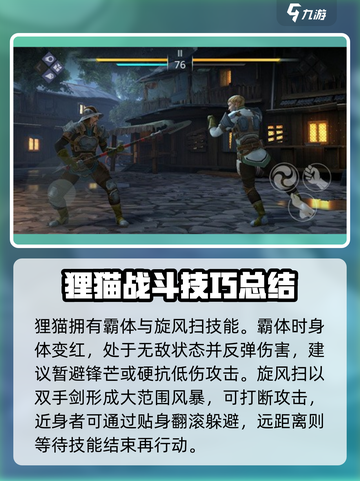 暗影格斗3狸猫打法攻略介绍截图3