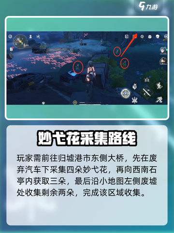 🎮鸣潮妙弋花全采集点曝光！速冲截图2