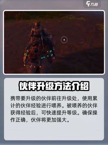 代号56伙伴在哪升级介绍截图5
