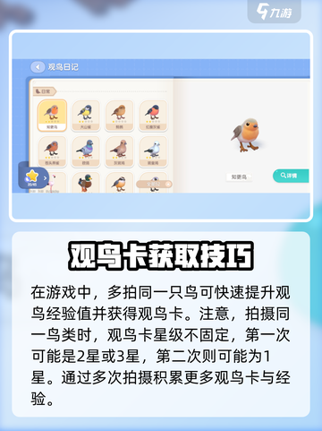 心动小镇观鸟卡什么用介绍截图4