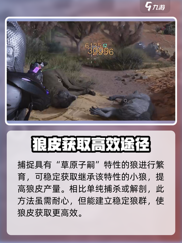 七日世界丛林狼皮怎么获得介绍截图5