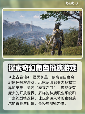 上古卷轴4掉帧？这一招教你流畅玩耍！🔥🎮截图2