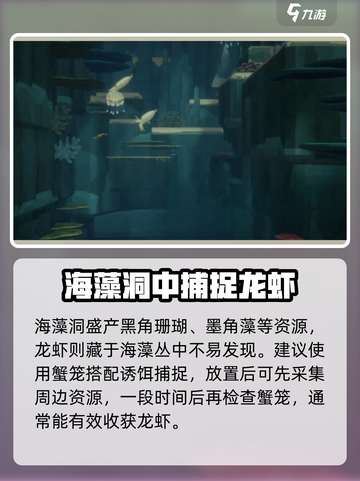 潜水员戴夫龙虾在哪抓介绍截图3